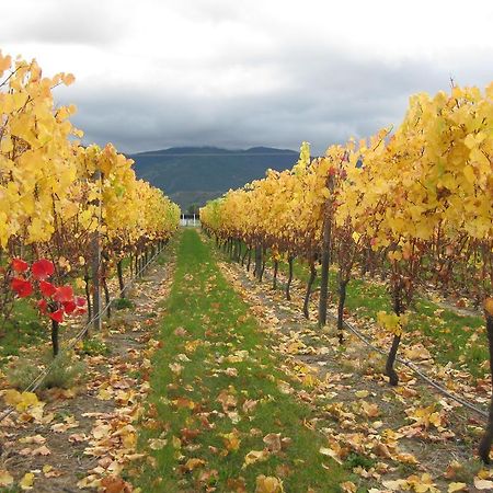 Korohi Vineyard Bnb Blenheim Kültér fotó